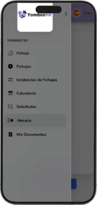 inicio